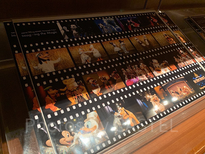 写真（フィルム）