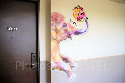 フォトジェニックな壁