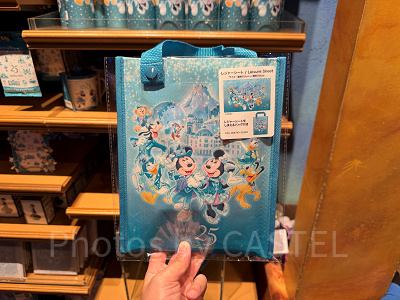 レジャーシート(ディズニーシー25周年グッズ)