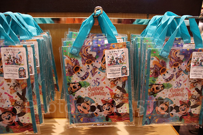 【確認画像】ディズニー　バケパクッション&レジャーシートセット ディズニーランド バケーションパッケージ バッグ クッション レジャー