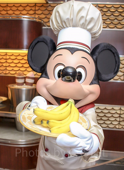 ディズニー】マイアニバーサリーストーリーでミッキーと記念日をお祝い