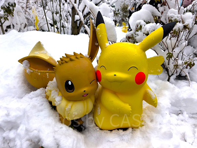 ポケモンフォレストでポケモンの生態を観察！