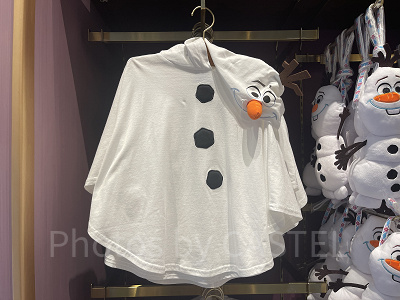 ポンチョ(アナとエルサのフローズンジャーニーグッズ)