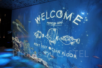 最上階のポートディープオーシャンフロア