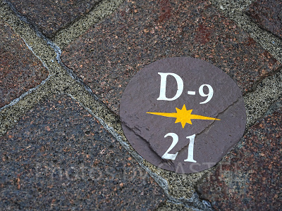 プレミアアクセス鑑賞位置の目印