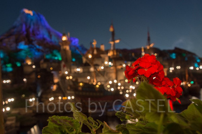 ディズニーシーの夜景を見ながらプロポーズ