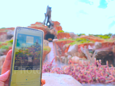 ディズニーリゾートの電波事情：電波が改善されることはあるの？