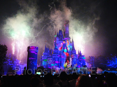 プレミアアクセス鑑賞エリアから見たReach for the Stars