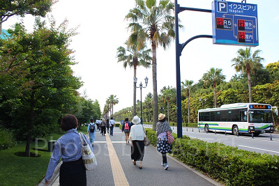 ディズニーシーまでの道