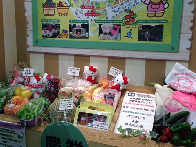 サンリオエキスポ展示 農業