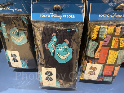 サリートランクス