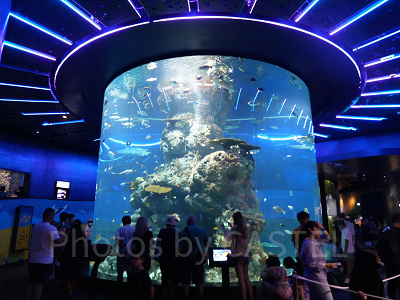 シーアクアリウム：円柱形水槽コーラルガーデン