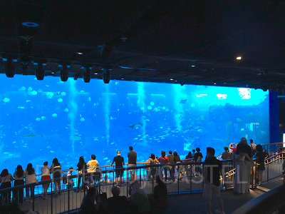 シーアクアリウム：巨大水槽「オープンギャラリー」