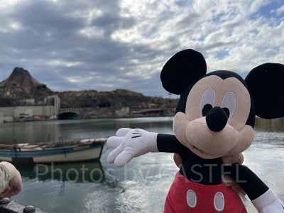 ミッキー広場の近くの場所の1列目を確保！