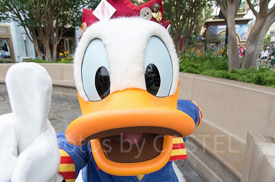 ディズニーチケットのオンライン販売:チケット購入の攻略法