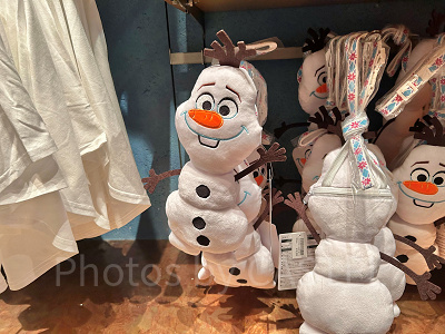 ショルダーバッグ(アナとエルサのフローズンジャーニーグッズ)