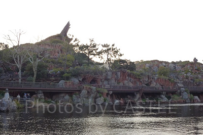 横から見たスプラッシュマウンテンとクリッターカントリー