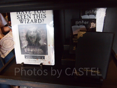 シリウス・ブラックのクリアファイル(左)とトム・リドルのノート(右)