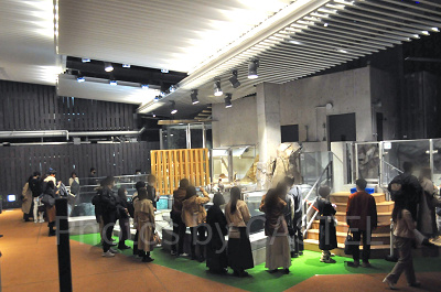 SKY SHORE 空辺の庭/神戸ポートミュージアム