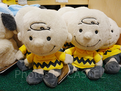 スヌーピーミュージアムグッズ/チャーリーぬいぐるみ