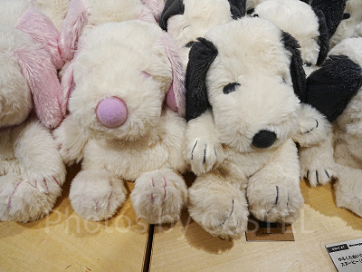 スヌーピーミュージアムグッズ/ゆるくたぬいぐるみ