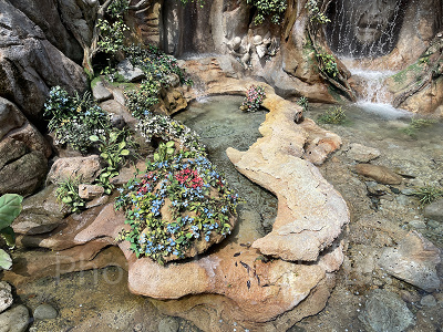 白雪姫の横顔のシルエット