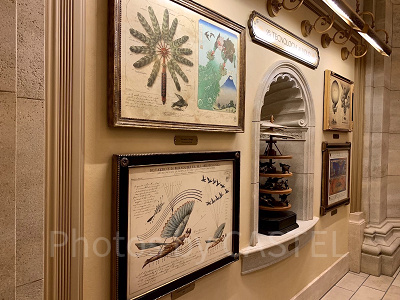 ソアリンの展示品