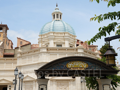 ソアリン：ファンタスティック・フライト/ディズニーシー