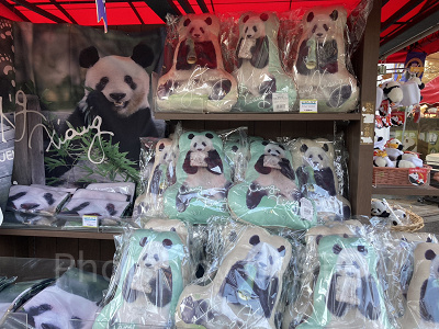 お土産売り場/上野動物園