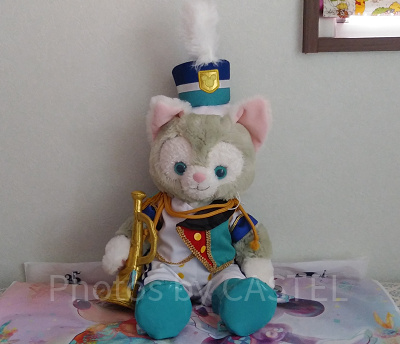 ジェラトーニ ポーチ リメイク 猫 ルシファー ダッフィー Friends 41XgRsTlycL._UF350,350_QL50_.jpg