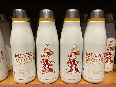 ステンレスボトル(秋)