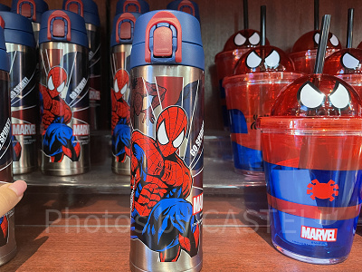 ステンレスボトル