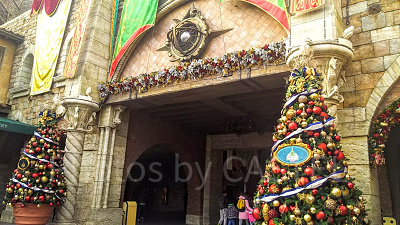 ディズニーのクリスマスツリー】ランド＆シー＆ホテルのツリーの場所