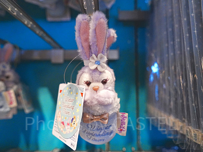 ステラルーぬいぐるみチャーム（ダッフィー＆フレンズのウィンター・トゥインクリング・タウン）