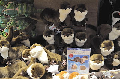 ぬいぐるみ コツメカワウソ