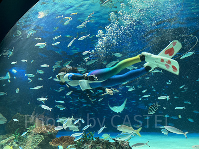 サンシャインラグーン