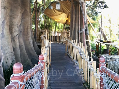 スイスファミリー・ツリーハウス：内観