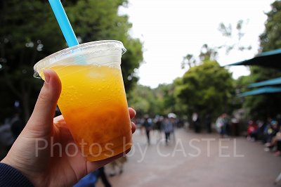 タピオカ・マンゴードリンク