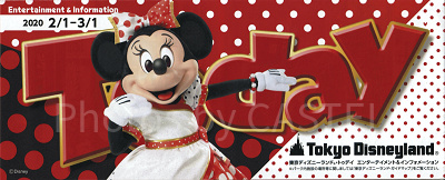 2020】ディズニーToday（トゥデイ）まとめ！ディズニーランド＆シーで