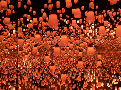 チームラボボーダレスお台場:ランプの森