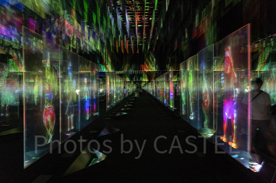 チームラボ　ボーダレスお台場