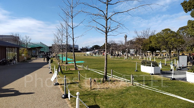 てんしばの芝生広場