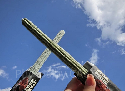 青空と緑色のチュロスがなんだか素敵にマッチしてますね♡