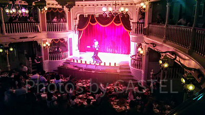 ザ・ダイヤモンドホース シュー・プレゼンツ“ミッキー＆カンパニー”