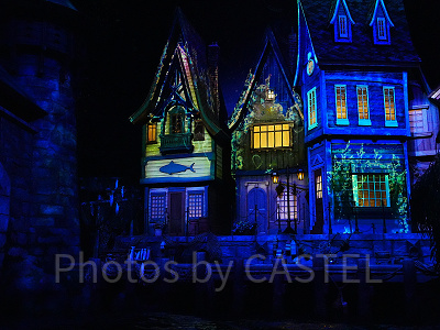 魔法が解けたアレンデールの街〔アナとエルサのフローズンジャーニー〕