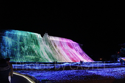 広がる光は幻想的な花畑のよう