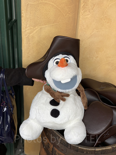 写真のぬいぐるみは、2016年の「アナとエルサのフローズンファンタジー」イベントで発売されました