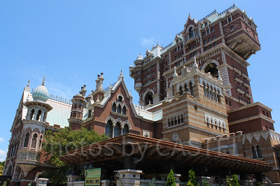 1回目の落下の瞬間に写真撮影がある