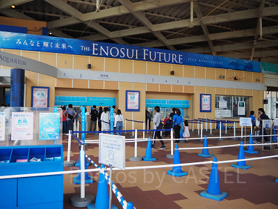 2023】新江ノ島水族館チケット割引方法16選！お得にえのすいを楽しもう！