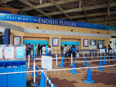 チケット購入場所